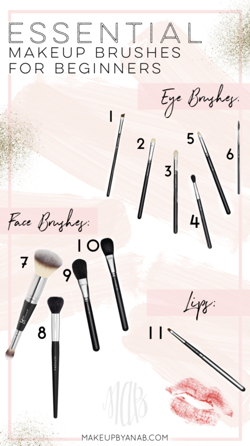 Essential Makeup Brushes For Beginners - Makeup By Ana B